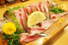 【DARUMAYA】Izakaya specialized in Sardine!!!! Amazing variation!! in Ooimachi!!! (Tokyo)