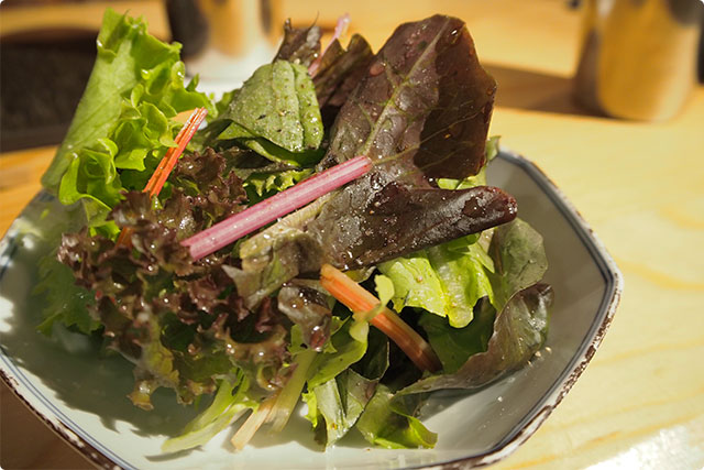 Organic vegetable salad